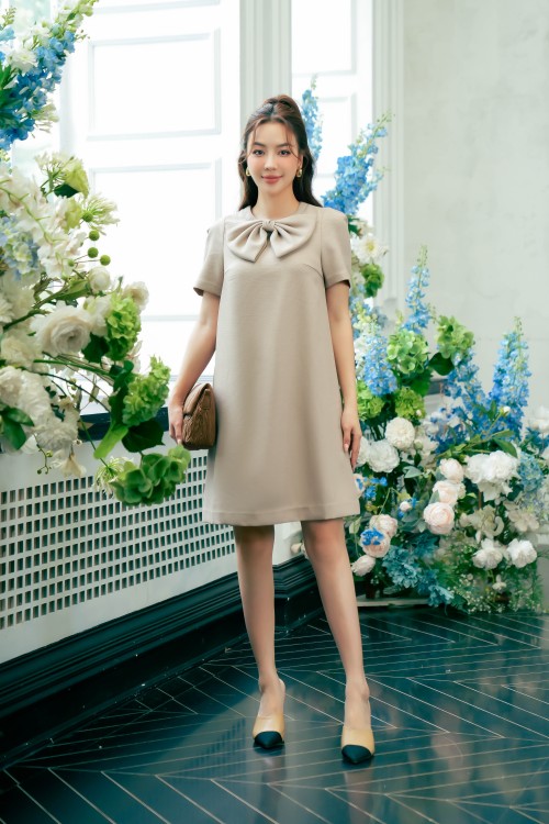 Grayish Brown Bowtie Mini Raw Dress