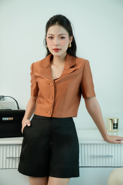 Brown Cropped Taffeta Vest