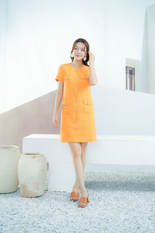 Straight Mini Woven Dress