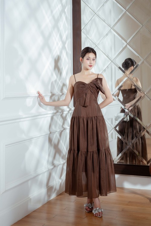 Dark Brown Organza Maxi Dress