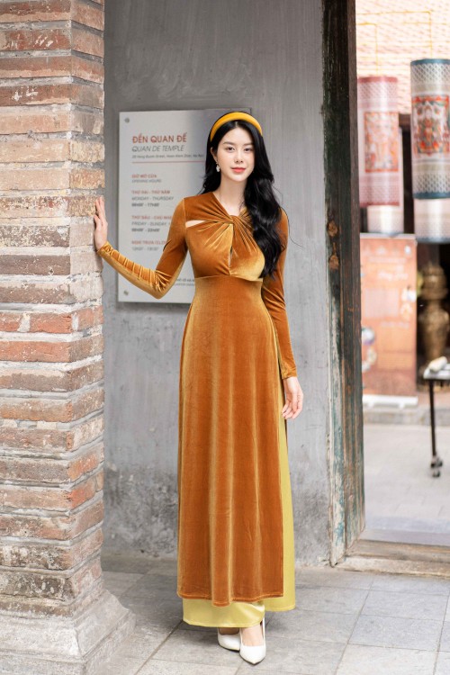 Glitzy Gold Velvet Ao Dai