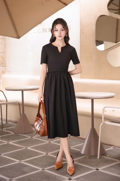 Woven Flared Dress