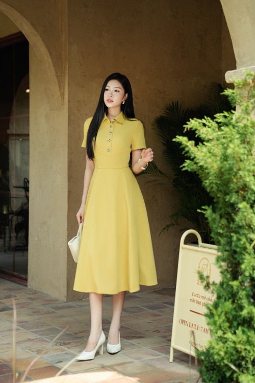 Raw Flared Dress