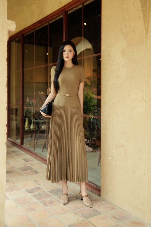 Brown Tuytsi Flared Dress